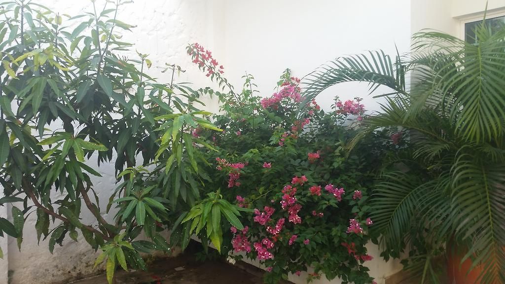 Сasa de vacaciones Casa El Mangle *