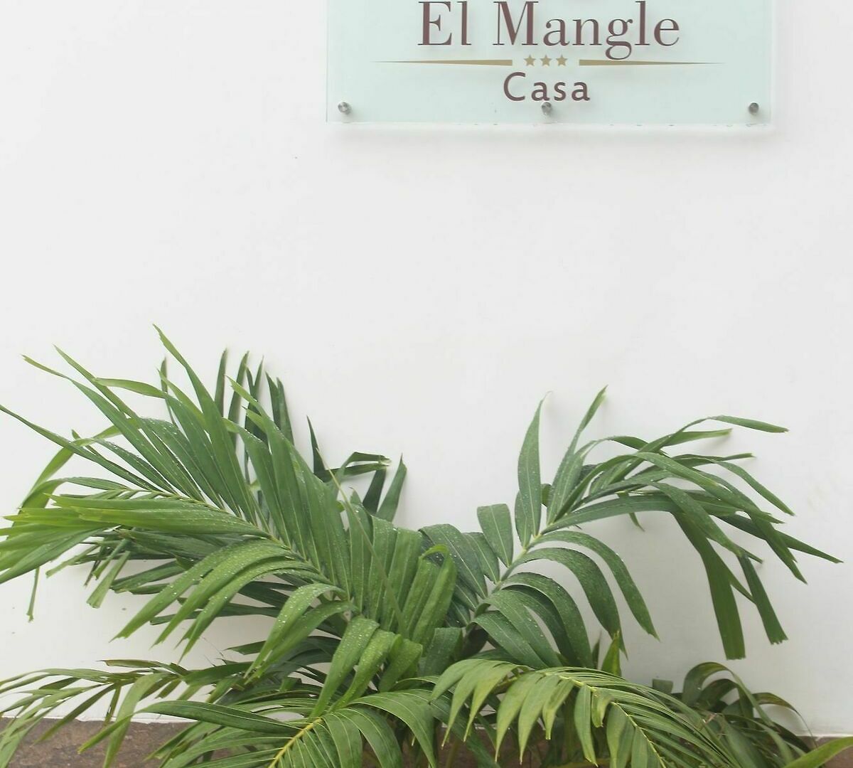 Casa El Mangle