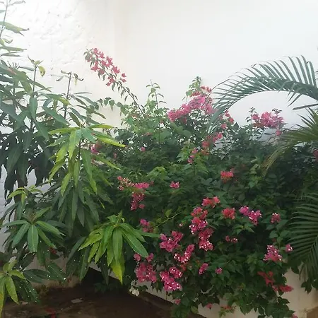Сasa de vacaciones Casa El Mangle *