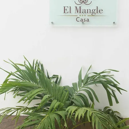 Casa El Mangle